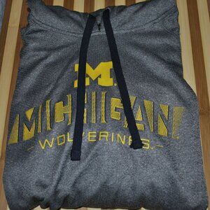 University of Michigan Wolverines Champion Elite Hoodie Men’s Sz L Gray Pullover